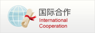 国际合作